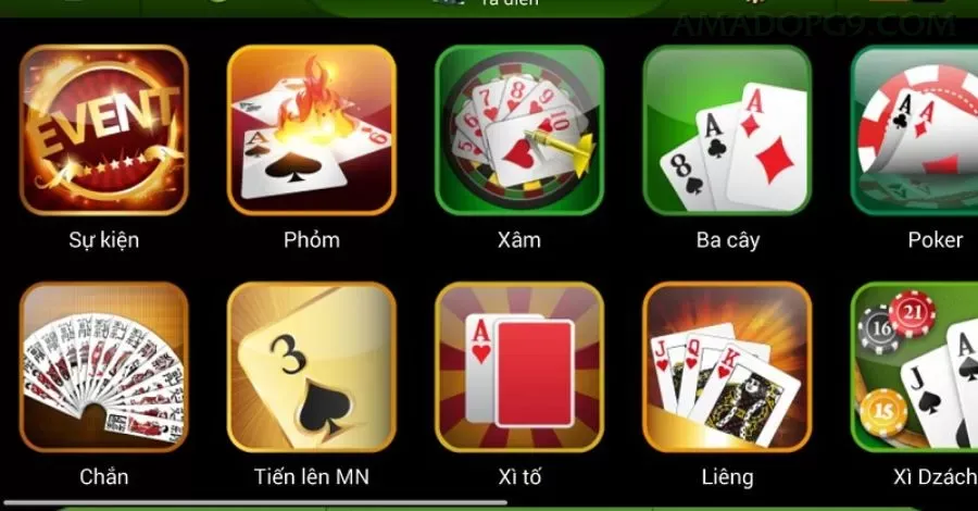 App amadopg Android download